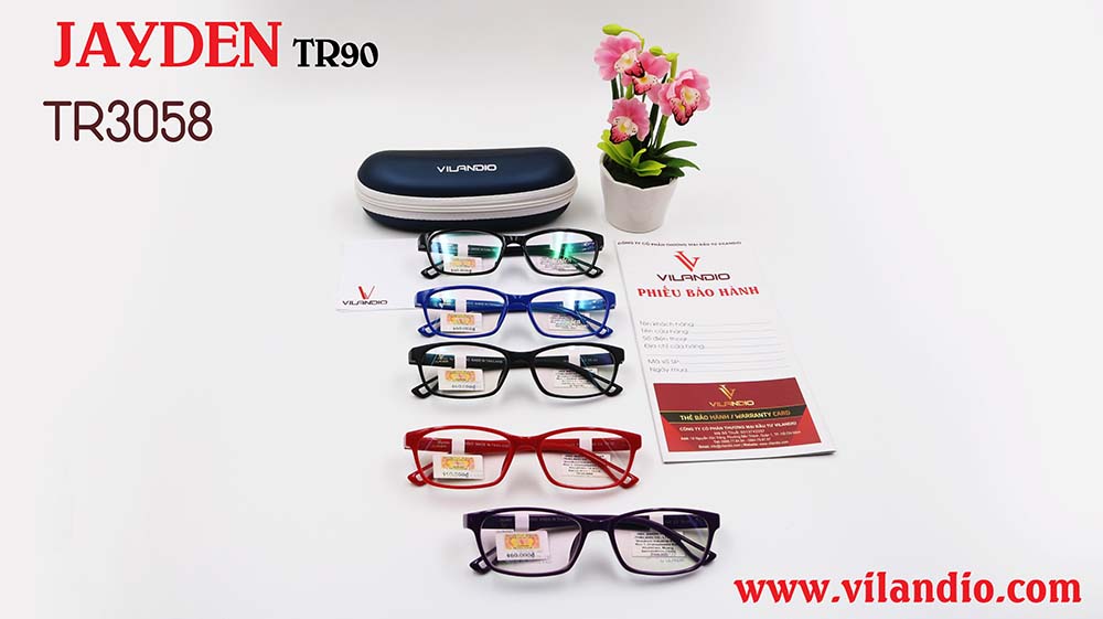Gọng JAYDEN TR3058 - Ảnh 6