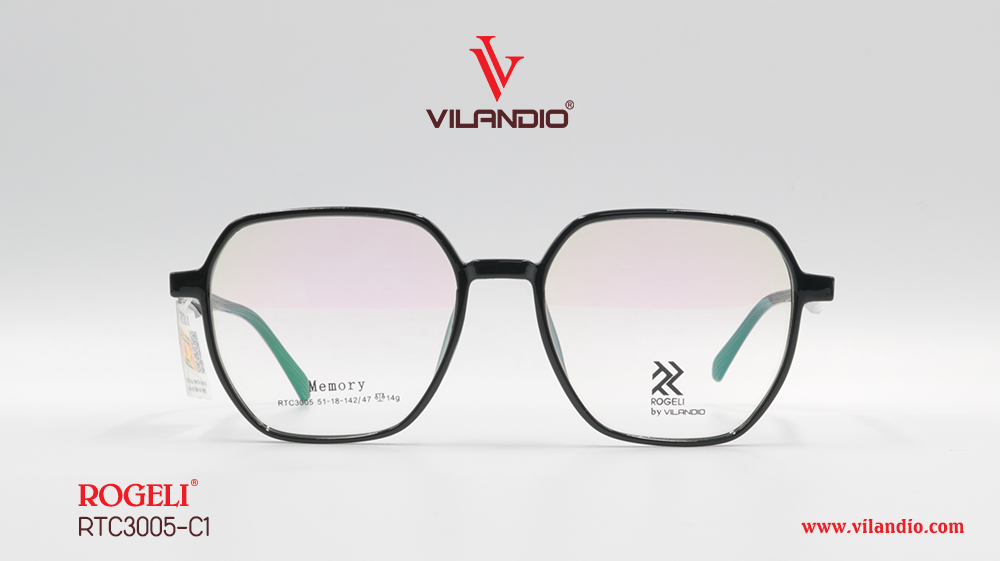 Gọng ROGELI RTC3005