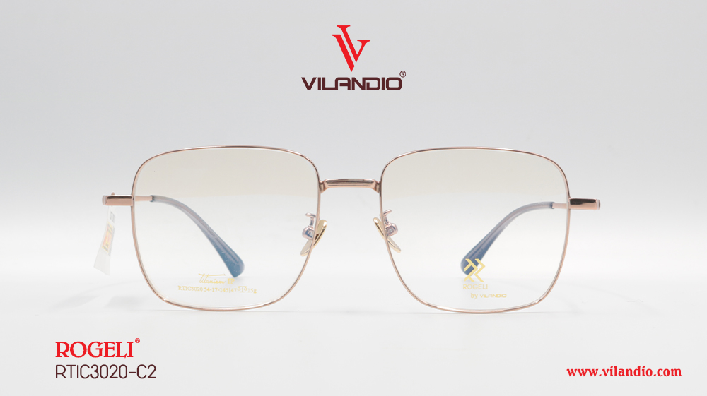 Gọng ROGELI RTIC3020