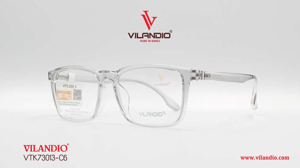 Gọng VILANDIO VTK73013 - Ảnh 4