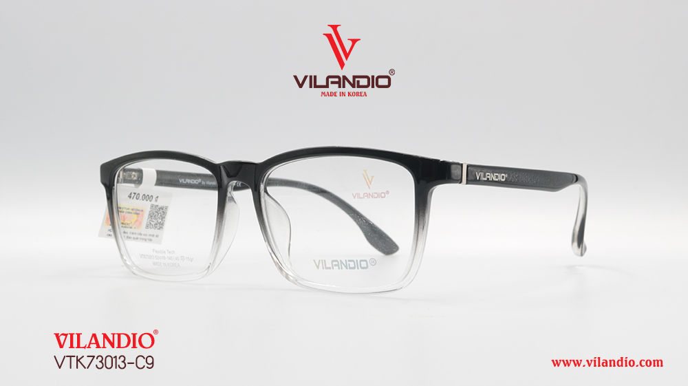 Gọng VILANDIO VTK73013 - Ảnh 6