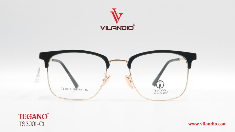 Gọng TEGANO TS3001