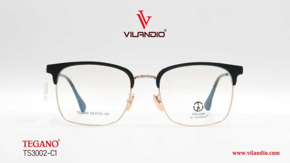 Gọng TEGANO TS3002