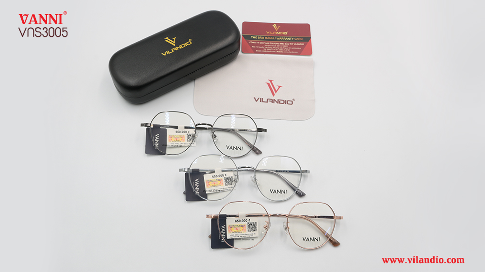 Gọng VANNI VNS3005 - Hình ảnh 5