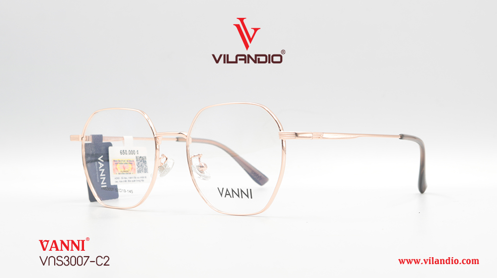 Gọng VANNI VNS3007 - Ảnh 3