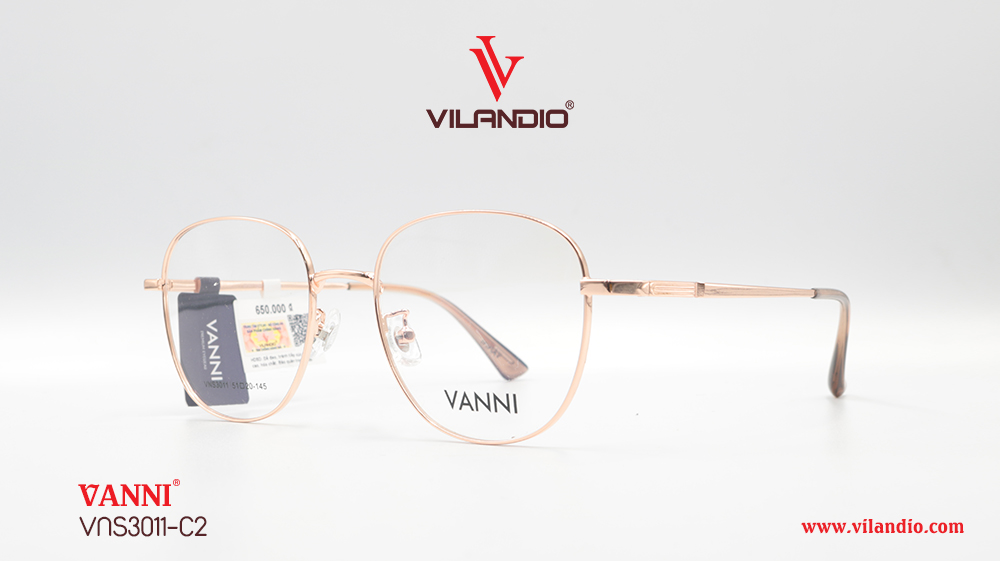 Gọng VANNI VNS3011 - Ảnh 3