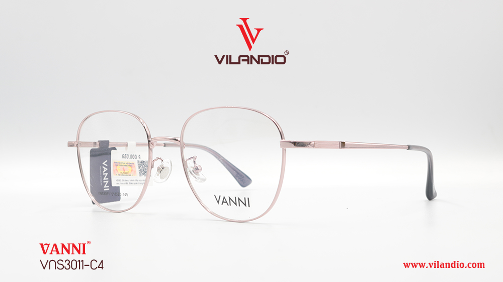 Gọng VANNI VNS3011 - Ảnh 5
