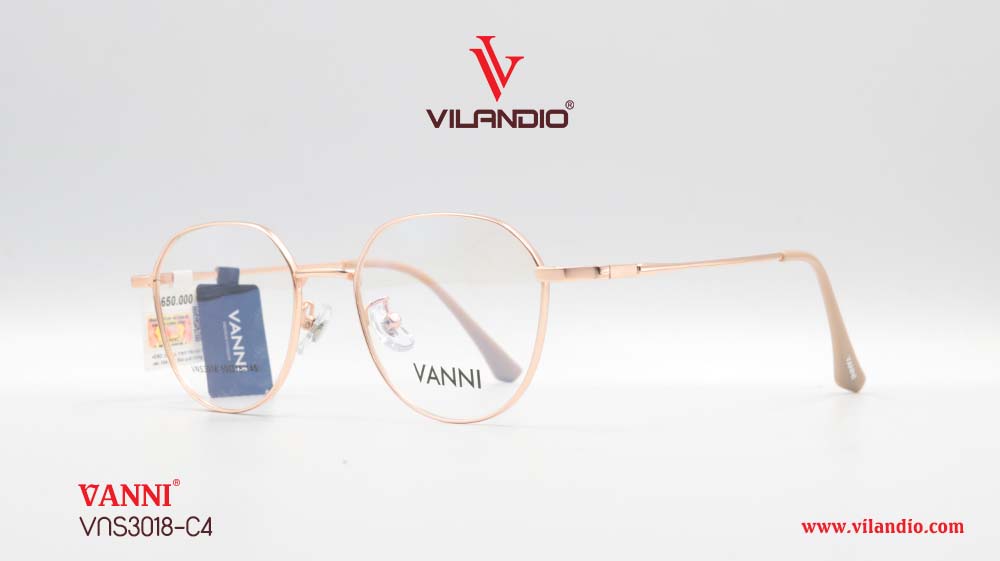 Gọng VANNI VNS3018 - Hình ảnh 4