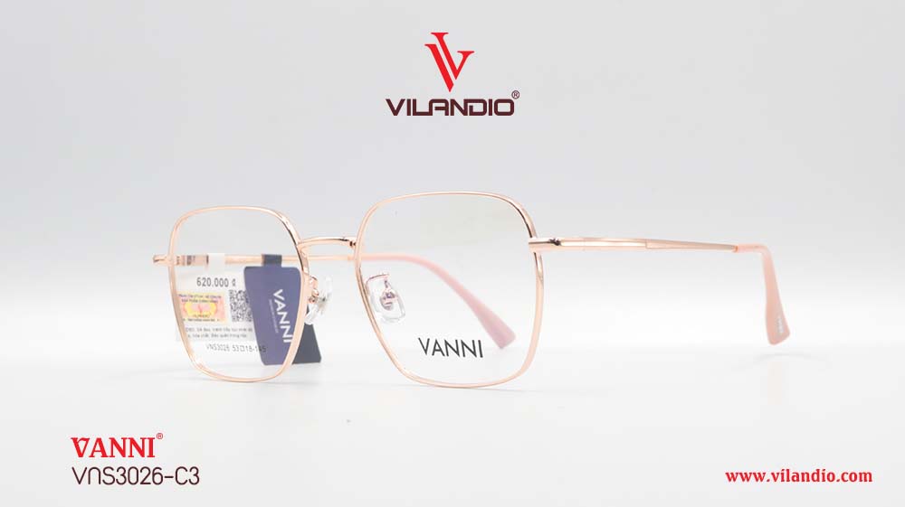 Gọng VANNI VNS3026 - Hình ảnh 3