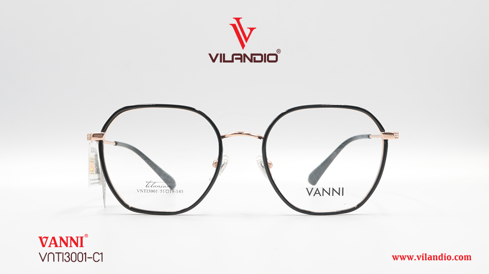 Gọng VANNI VNTI3001