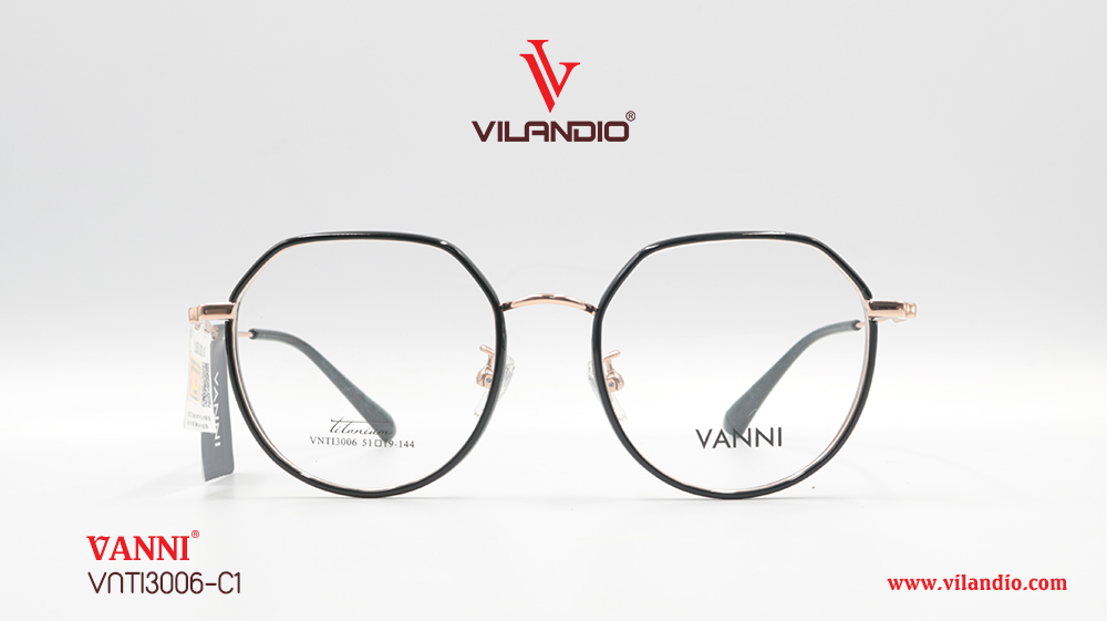 Gọng VANNI VNTI3006