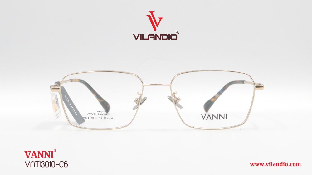 Gọng VANNI VNTI3010