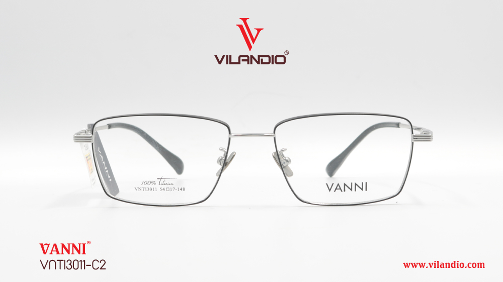 Gọng VANNI VNTI3011