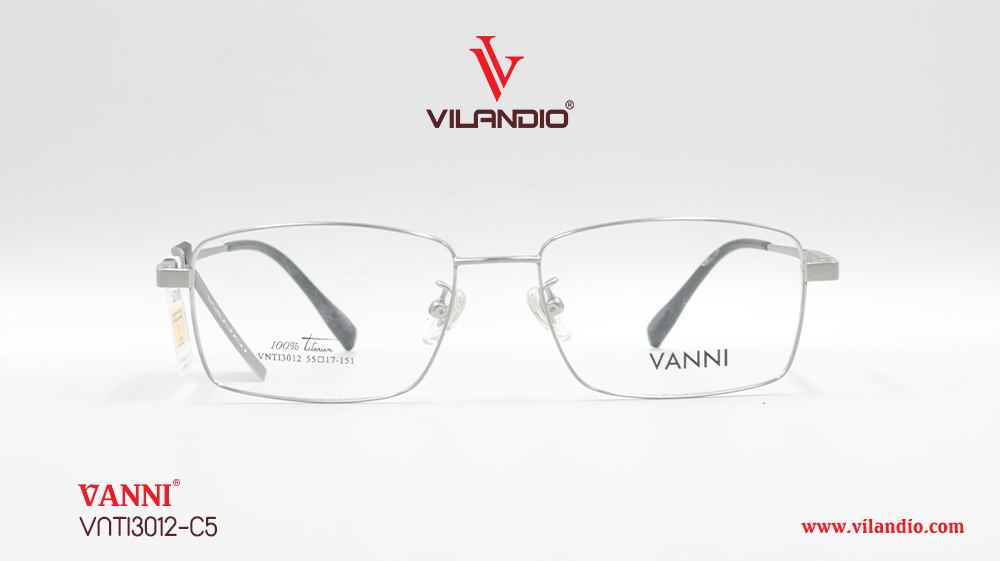 Gọng VANNI VNTI3012