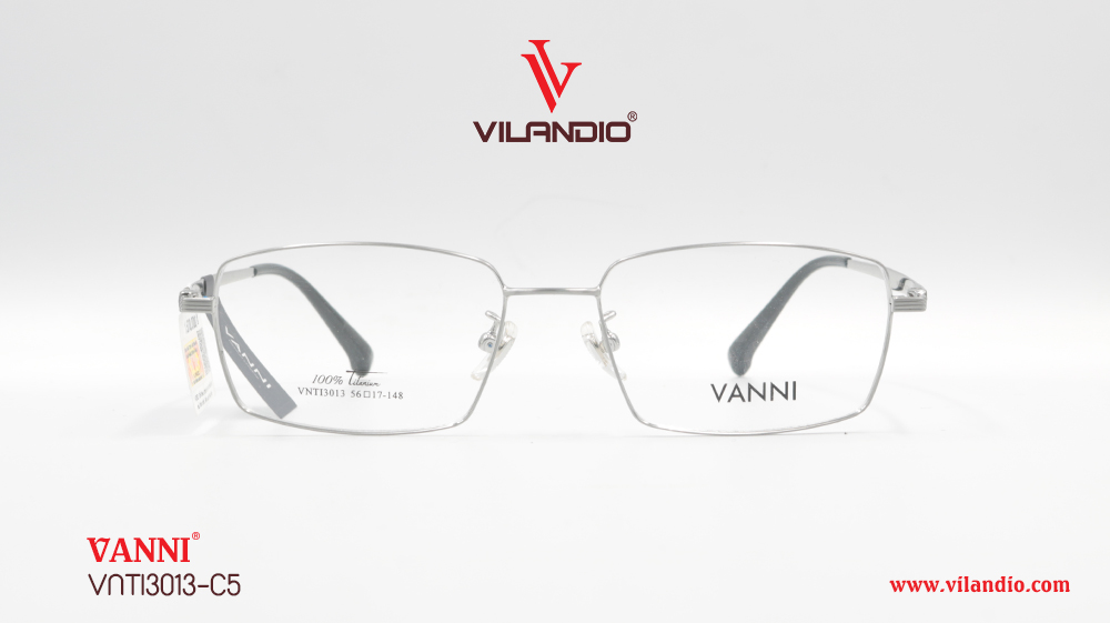 Gọng VANNI VNTI3013