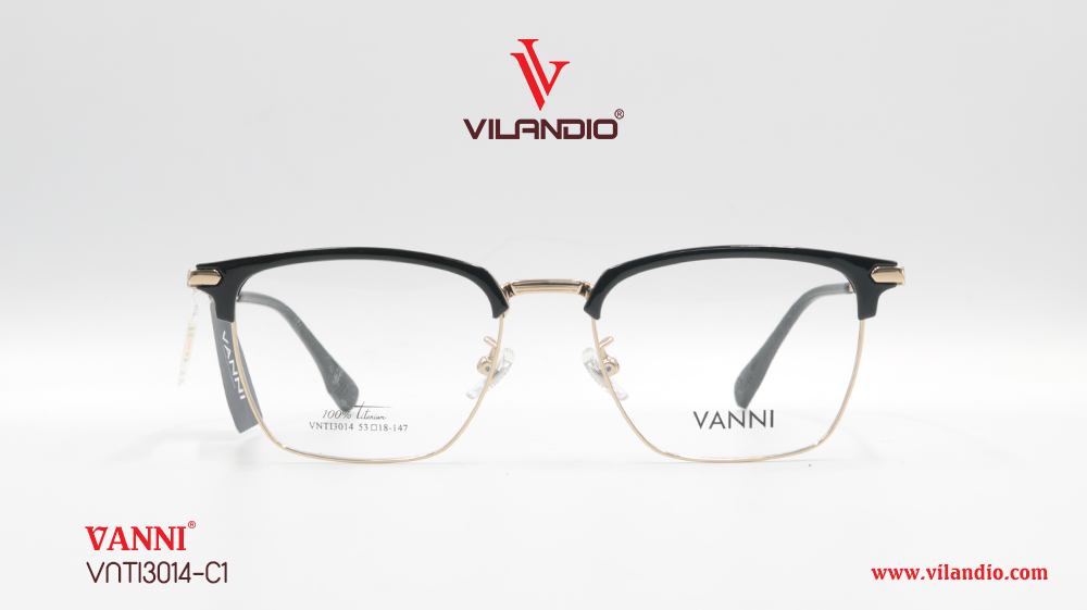 Gọng VANNI VNTI3014