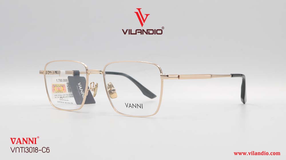 Gọng VANNI VNTI3018 - Ảnh 3