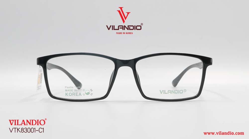 Gọng VILANDIO VTK83001