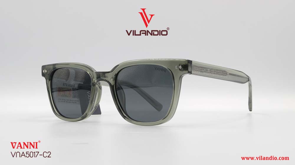 Kính Mát VANNI VNA5017 - Ảnh 3