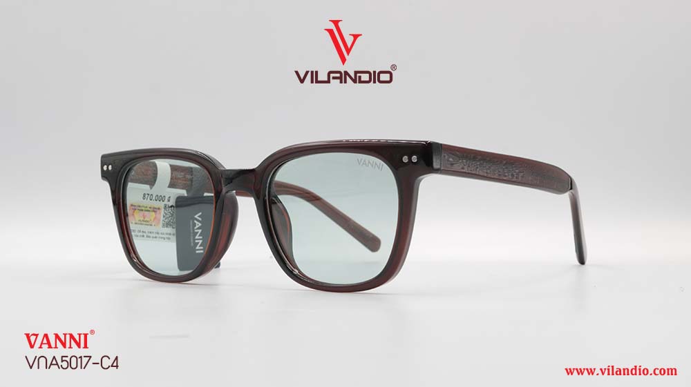Kính Mát VANNI VNA5017 - Ảnh 5
