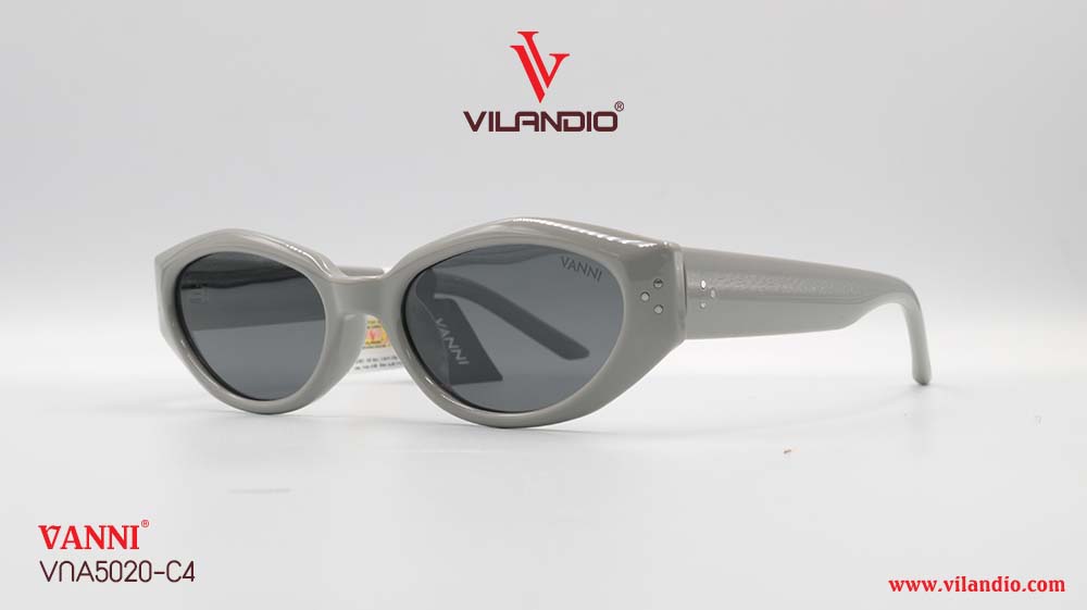 Kính Mát VANNI VNA5020 - Ảnh 4