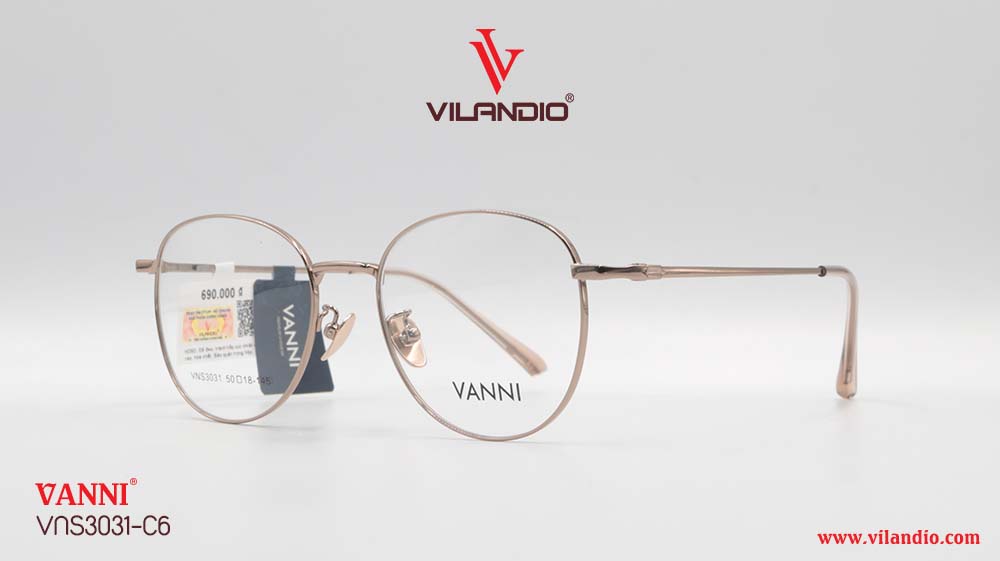 Gọng VANNI VNS3031 - Ảnh 5