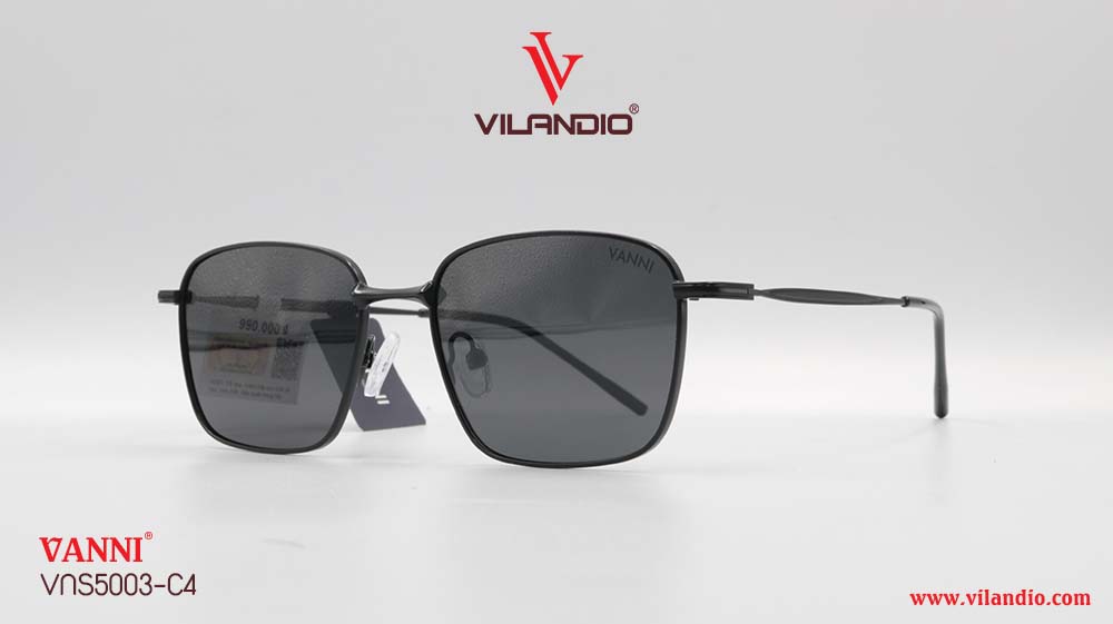 Kính Mát VANNI VNS5003 - Ảnh 4