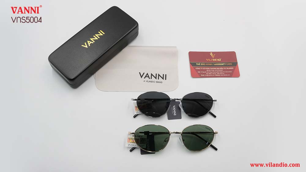 Kính Mát VANNI VNS5004 - Ảnh 4