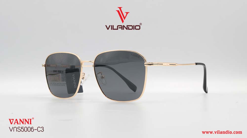 Kính Mát VANNI VNS5006 - Ảnh 4