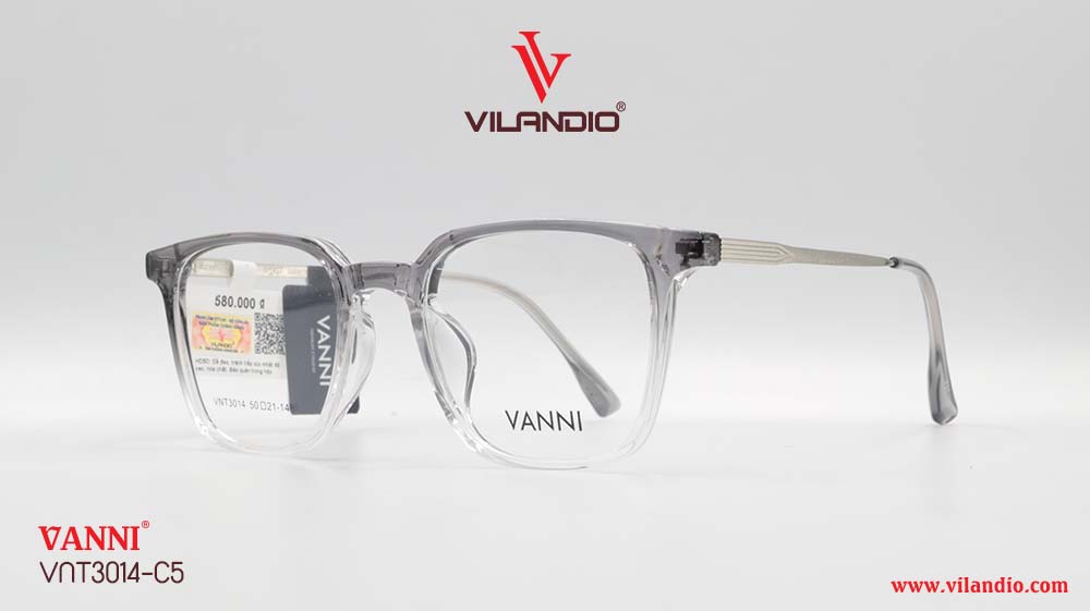 Gọng VANNI VNT3014 - Hình ảnh 5