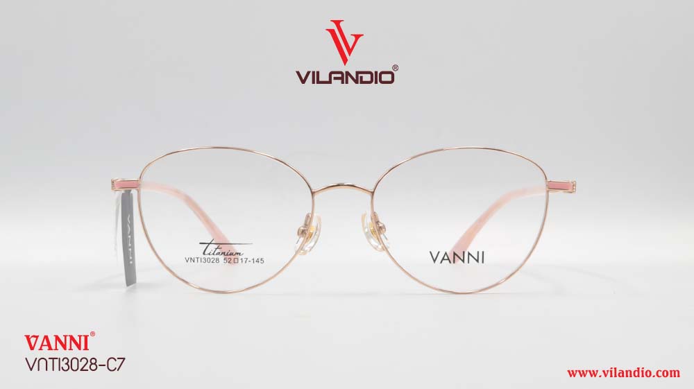 Gọng VANNI VNTI3028