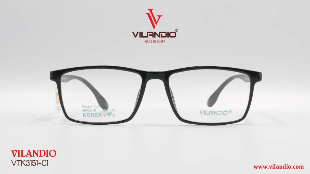 Gọng VILANDIO VTK3151