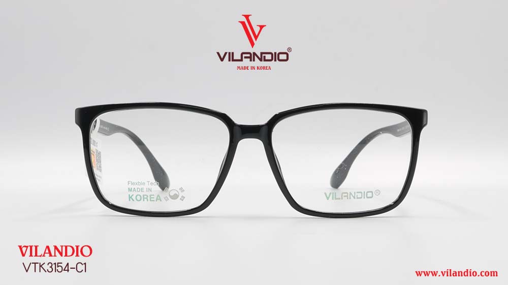 Gọng VILANDIO VTK3154     