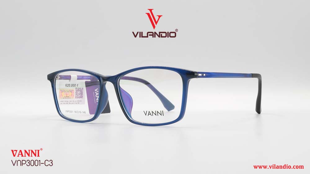 Gọng VANNI VNP3001 - Ảnh 4