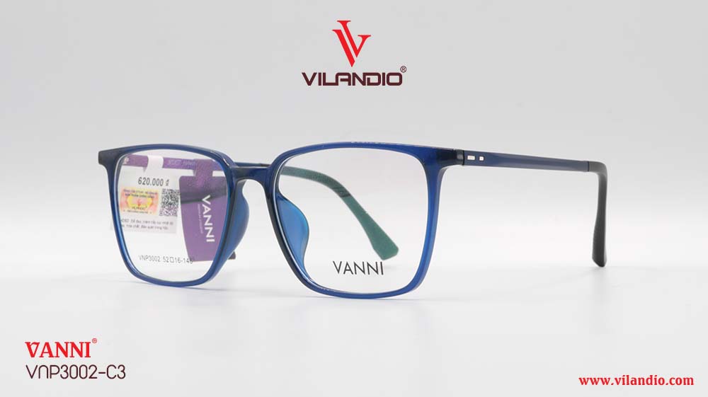 Gọng VANNI VNP3002 - Ảnh 4