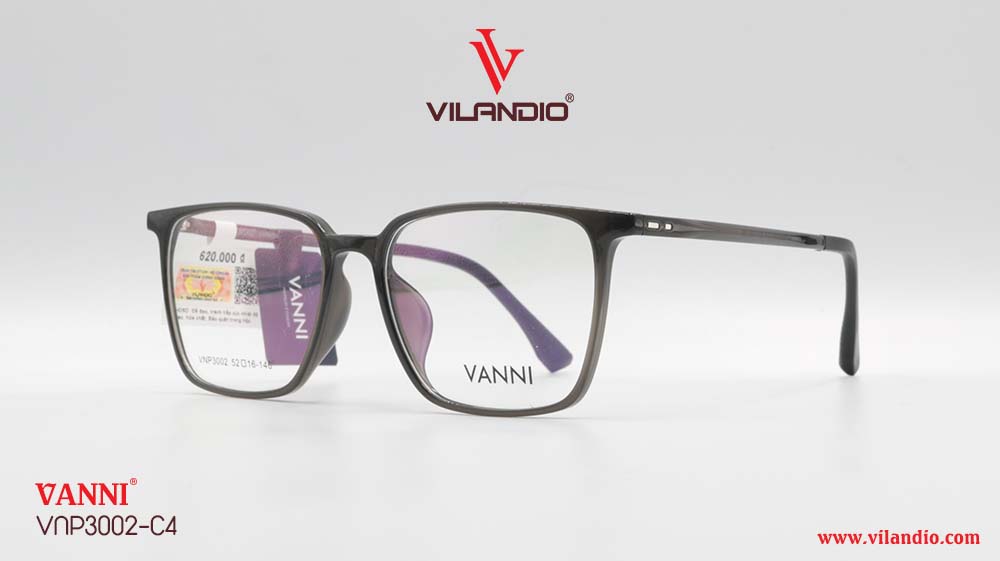 Gọng VANNI VNP3002 - Ảnh 5