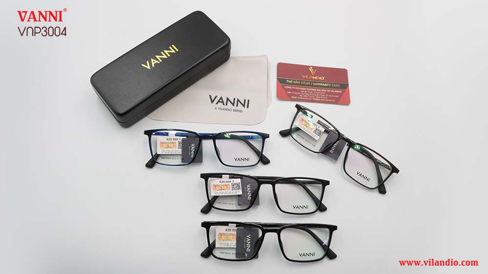 Gọng VANNI VNP3004 - Ảnh 6