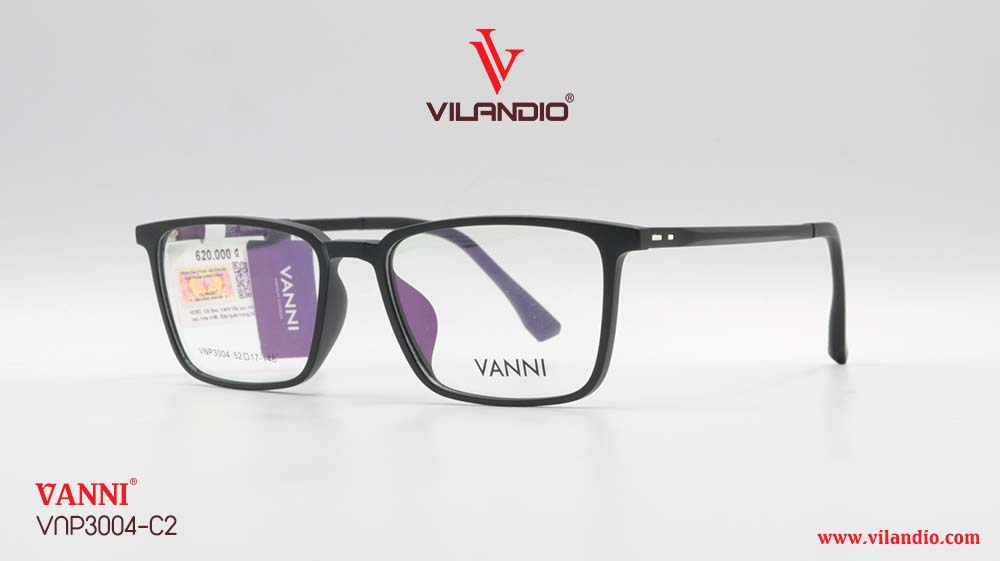 Gọng VANNI VNP3004 - Ảnh 3
