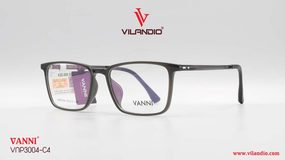 Gọng VANNI VNP3004 - Ảnh 5