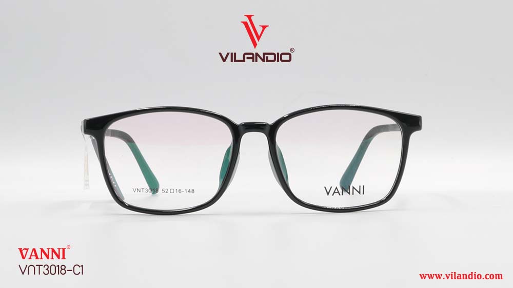 Gọng VANNI VNT3018