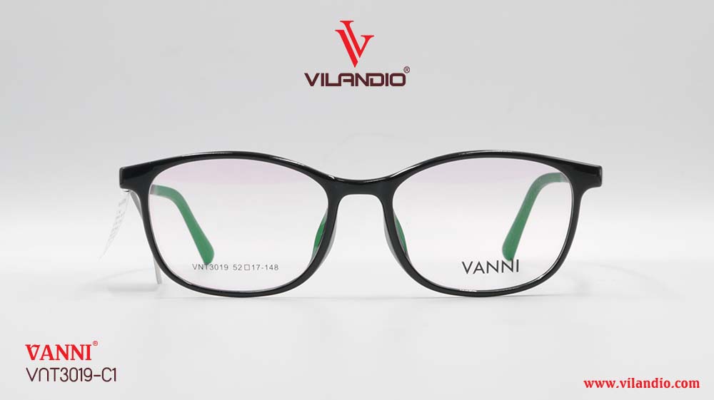 Gọng VANNI VNT3019