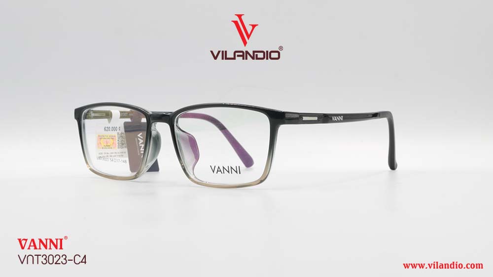 Gọng VANNI VNT3023 - Ảnh 4