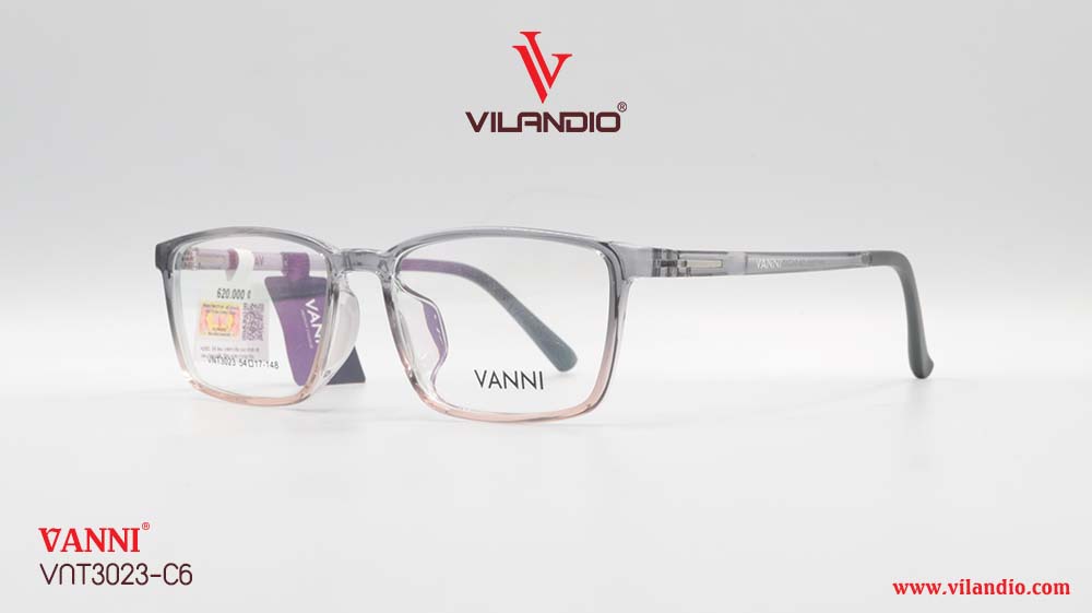 Gọng VANNI VNT3023 - Ảnh 6