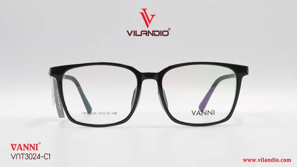 Gọng VANNI VNT3024