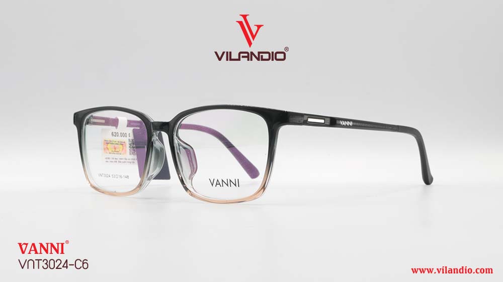 Gọng VANNI VNT3024 - Ảnh 7