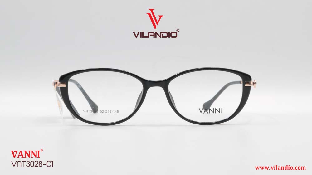 Gọng VANNI VNT3028