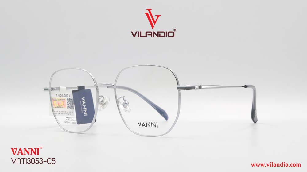 Gọng VANNI VNTI3053 - Ảnh 4