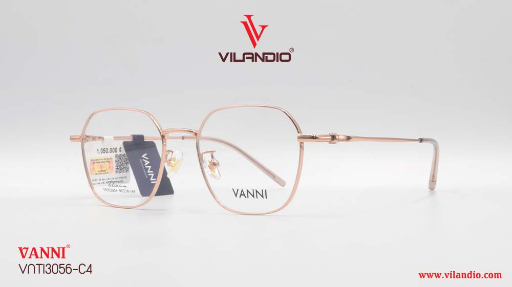 Gọng VANNI VNTI3056 - Ảnh 3