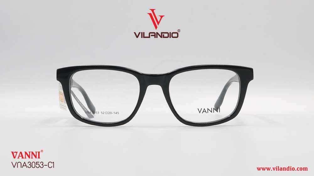 Gọng VANNI VNA3053