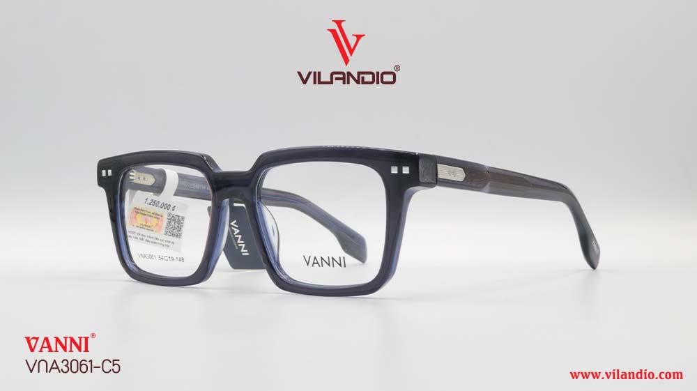 Gọng VANNI VNA3061 - Ảnh 3